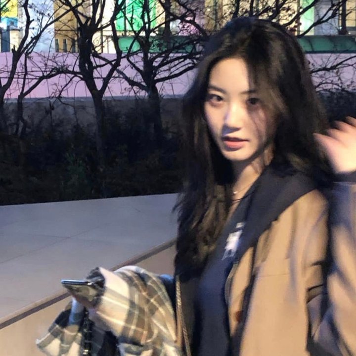 彩凤笙歌